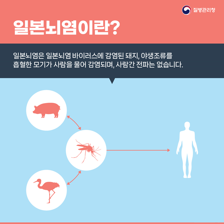 전국 일본뇌염 주의보 발령(3.20.금) 안내